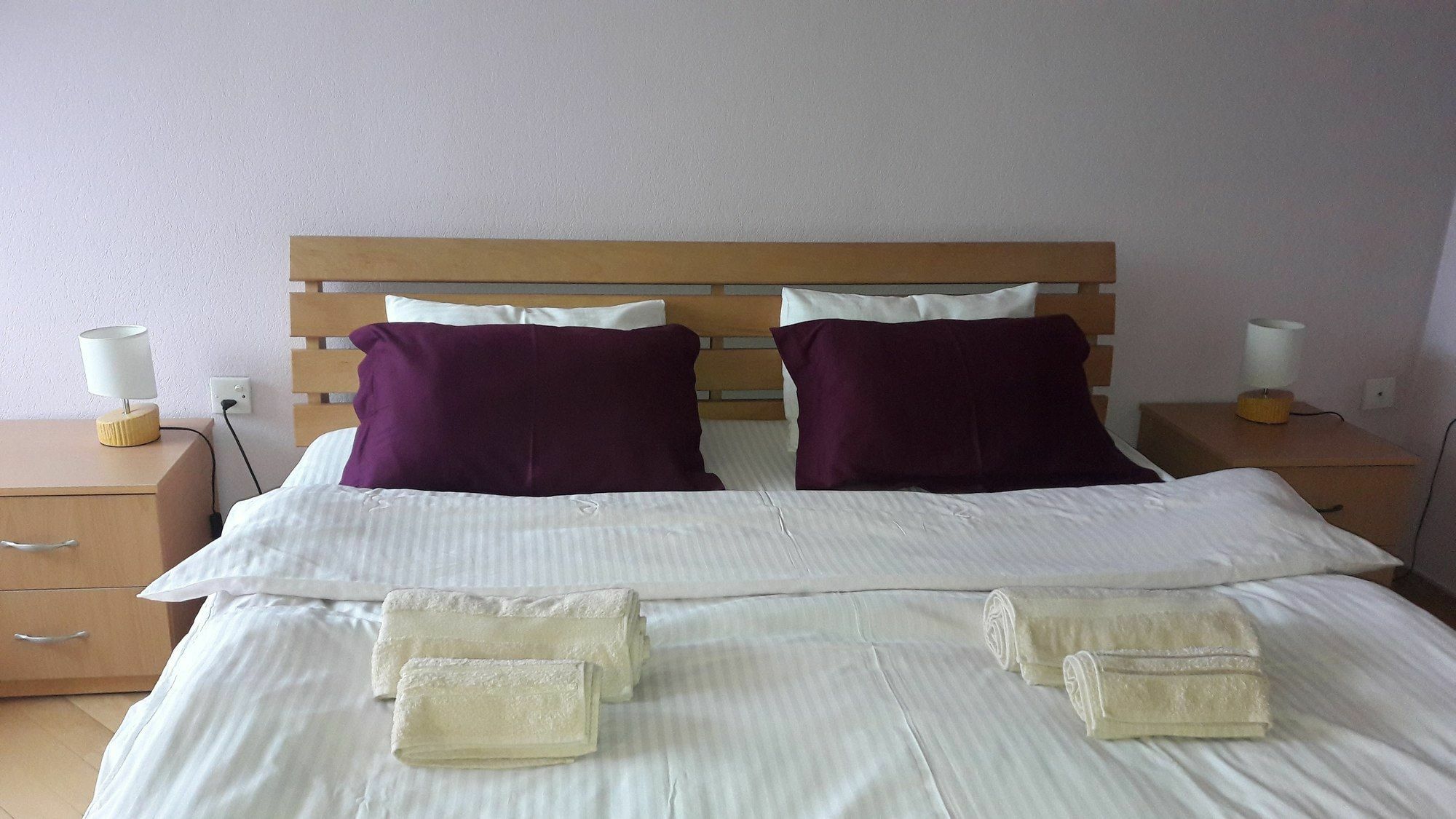 Apart-Hotel David ティビリシ エクステリア 写真